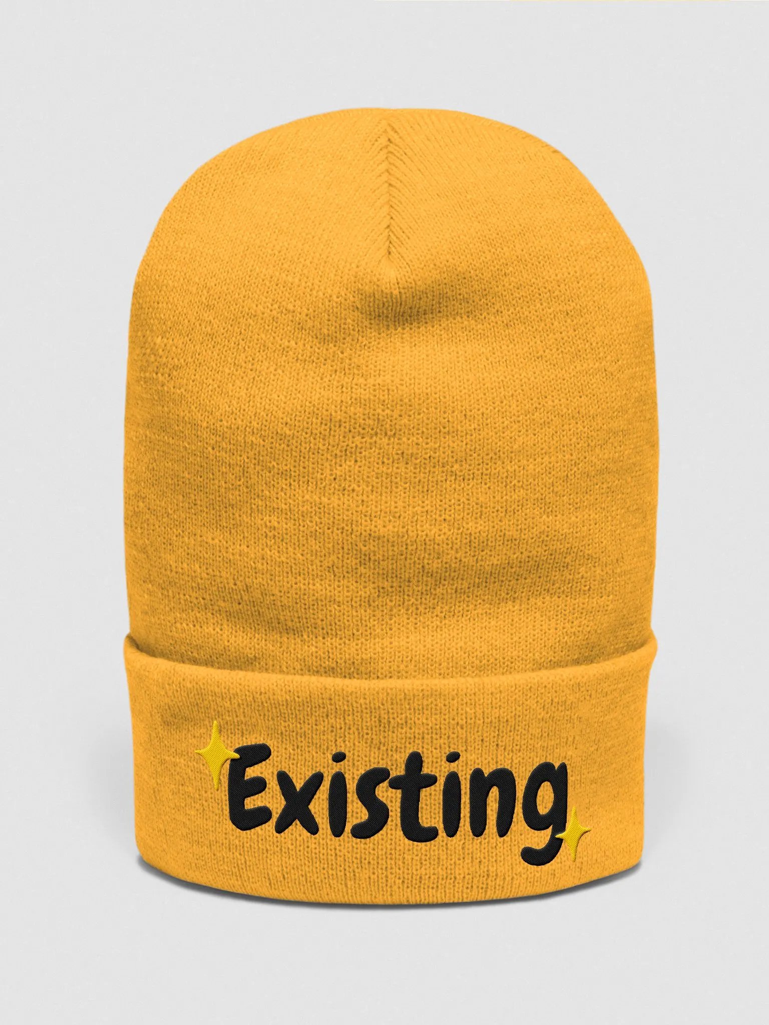 Existing Beanie | Black Lettering product image (1)