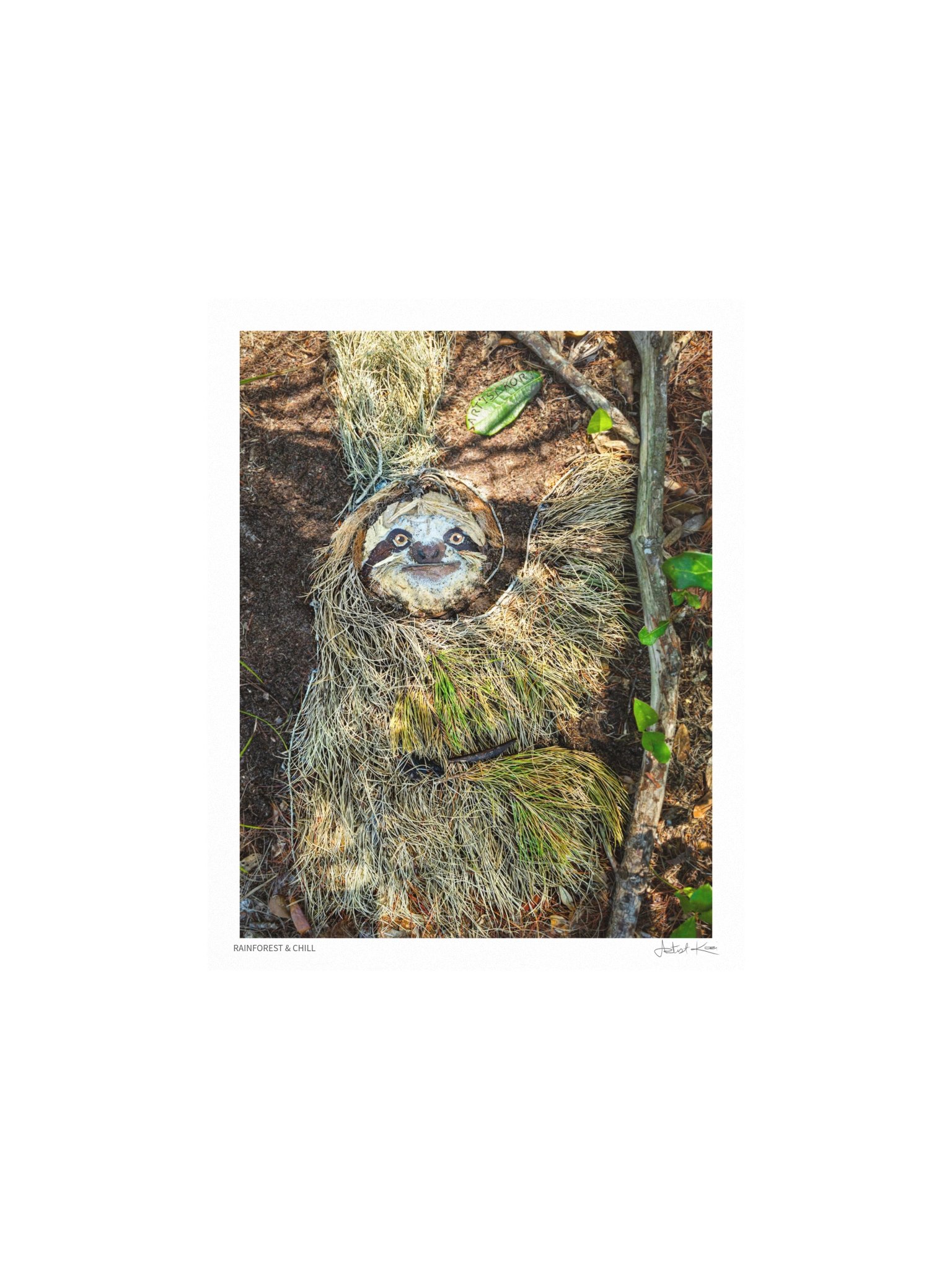 RAINFOREST & CHILL | Fine Art Print product image (3)