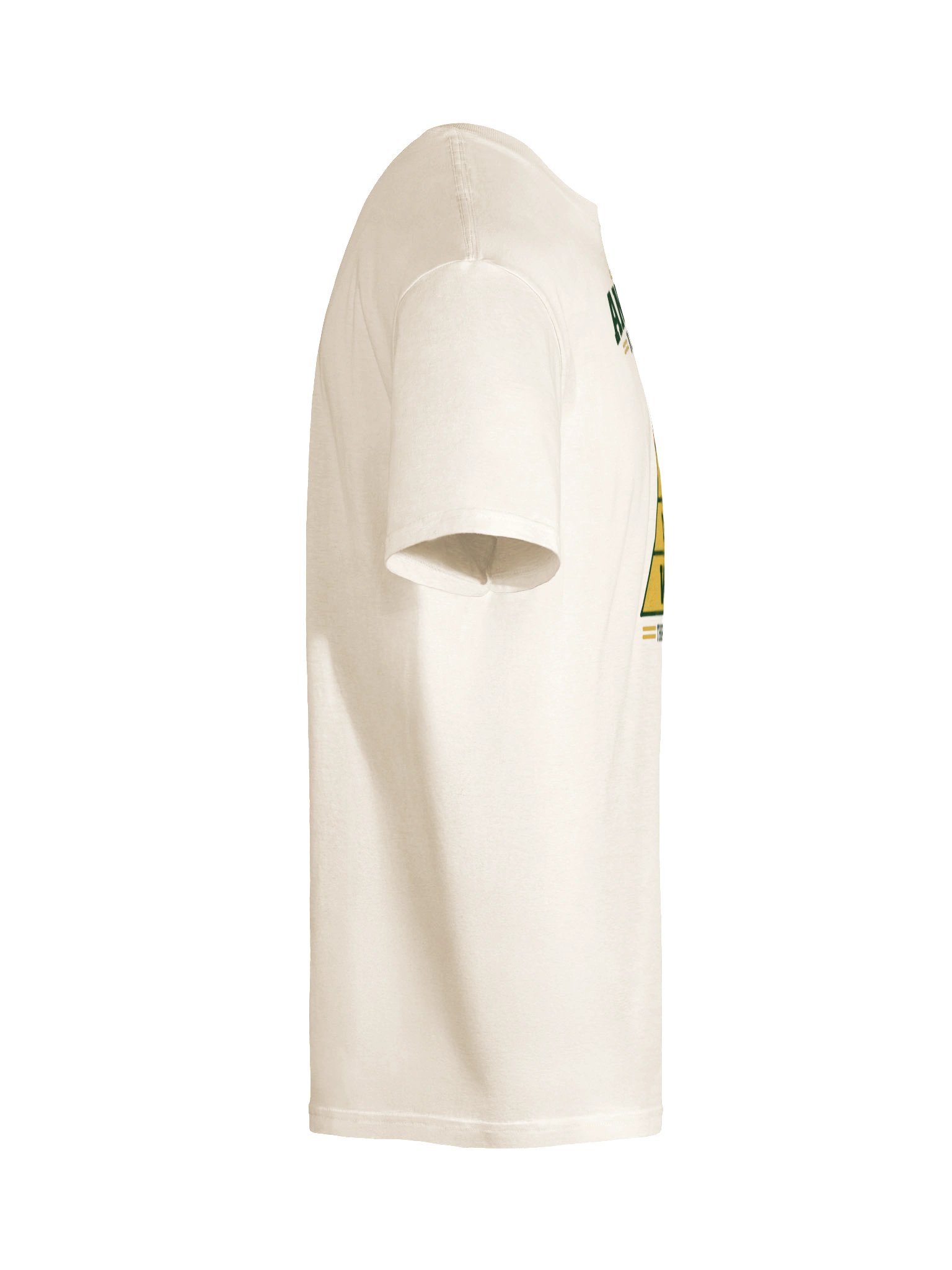 The Fishing Pyramid T-Shirt product image (10)
