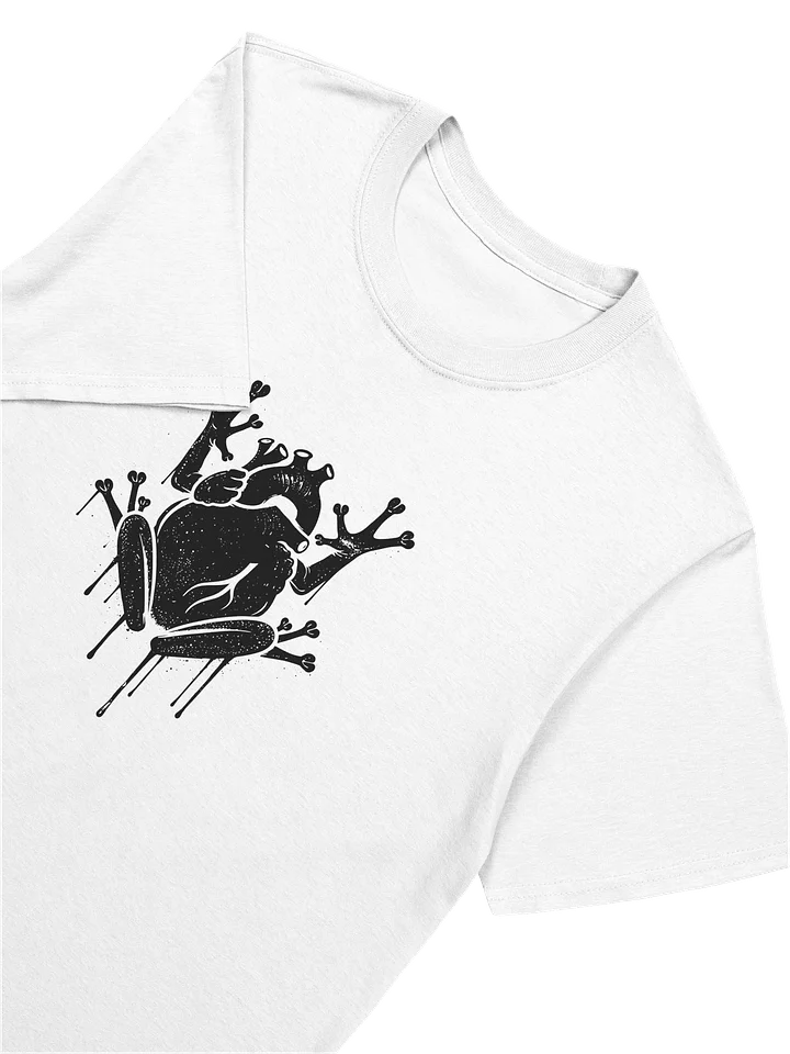 Canto del Corazón product image (2)
