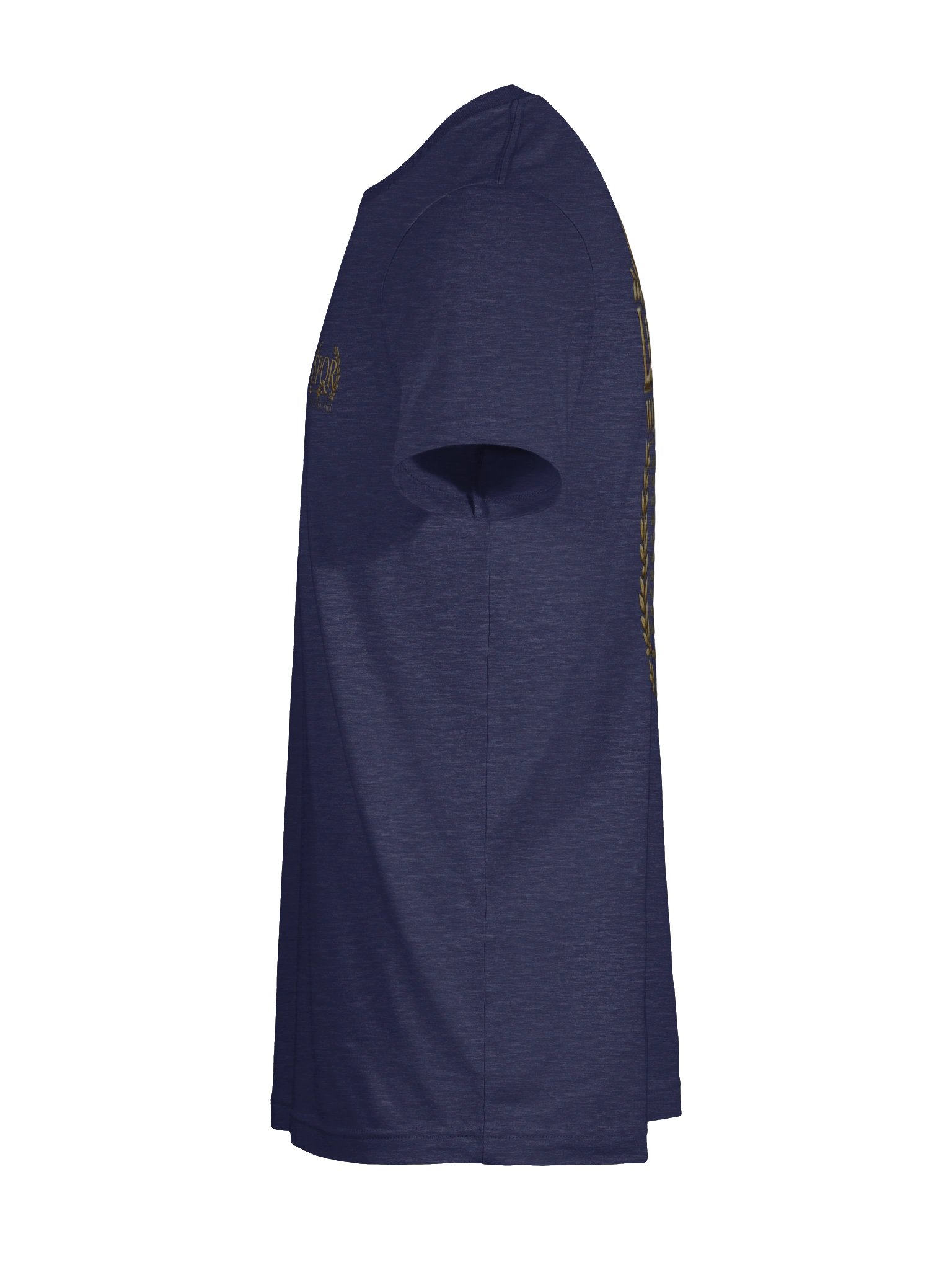 Legio X World Tour Tee — SPQR • Veni. Vidi. Vici. product image (51)