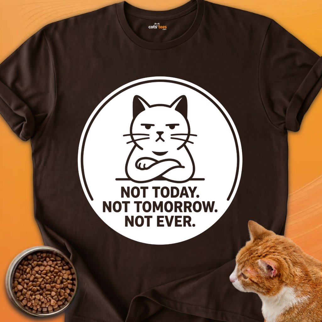 Not Today Not Tomorrow product image (9)