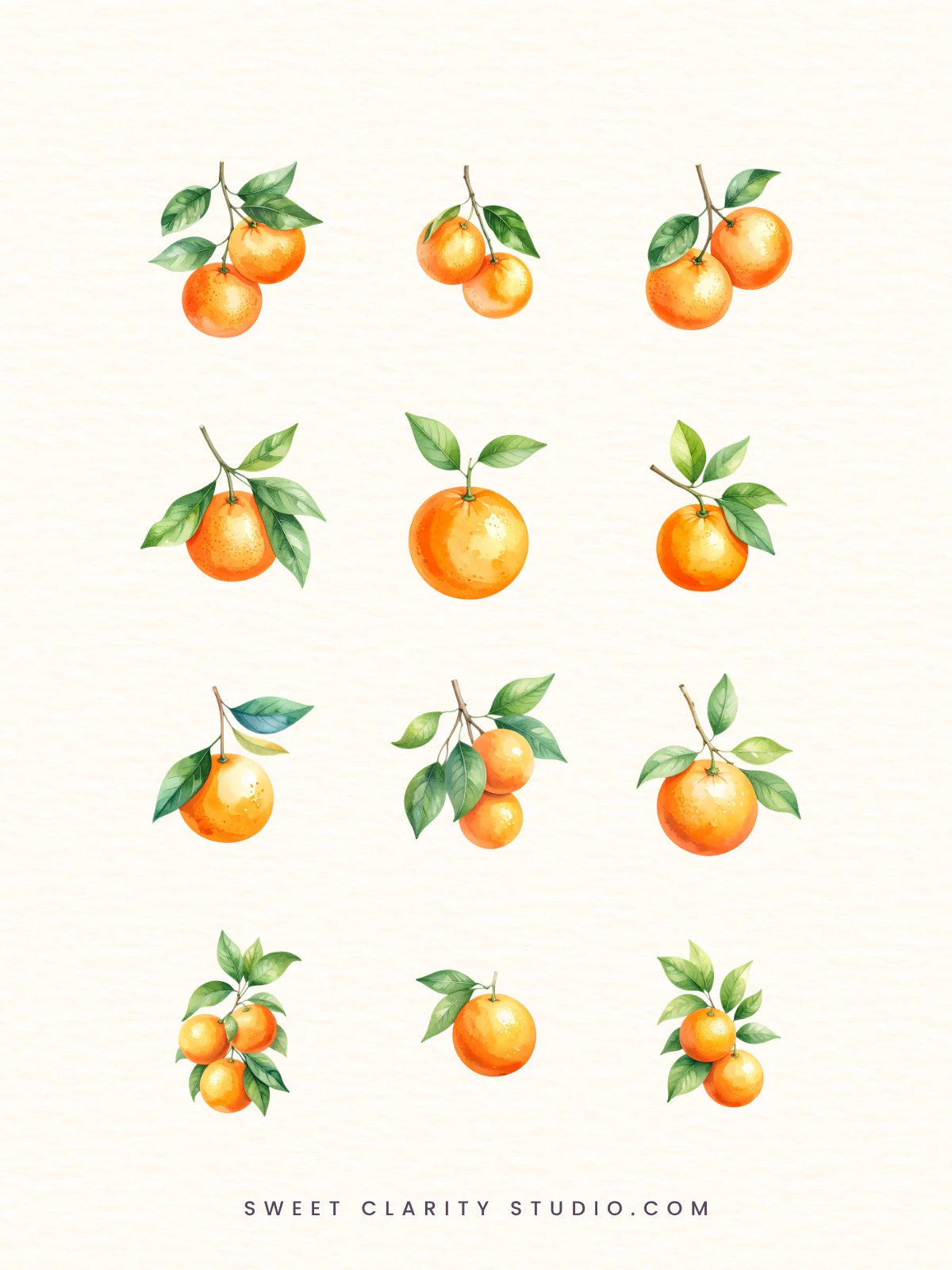 Watercolor Oranges Clipart Pack product image (2)