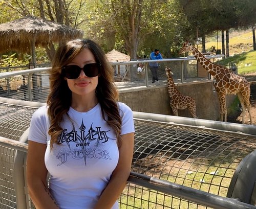What’s your favorite zoo?
The Living Desert was an amazing time. 
Clean park and beautiful animals. 
My favorite was the gira...