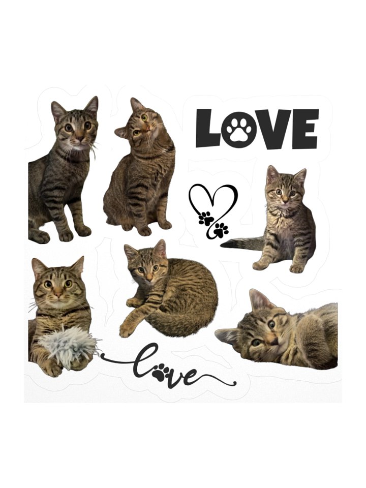 Typo the Brown Tabby Stickers product image (1)
