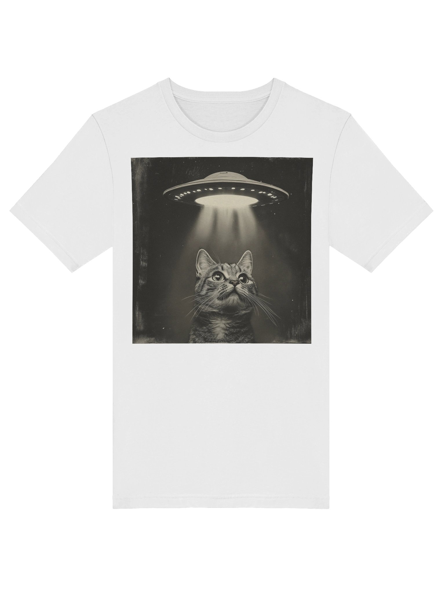 Cat Encounters T-Shirt product image (5)