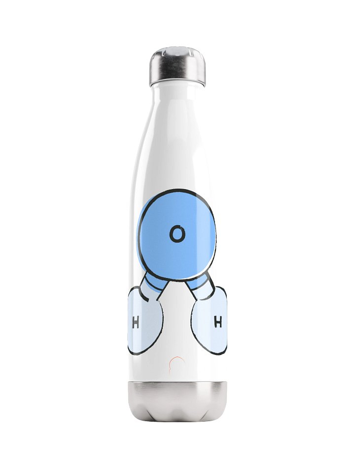 H2O Stainless Steel Water Bottle product image (1)