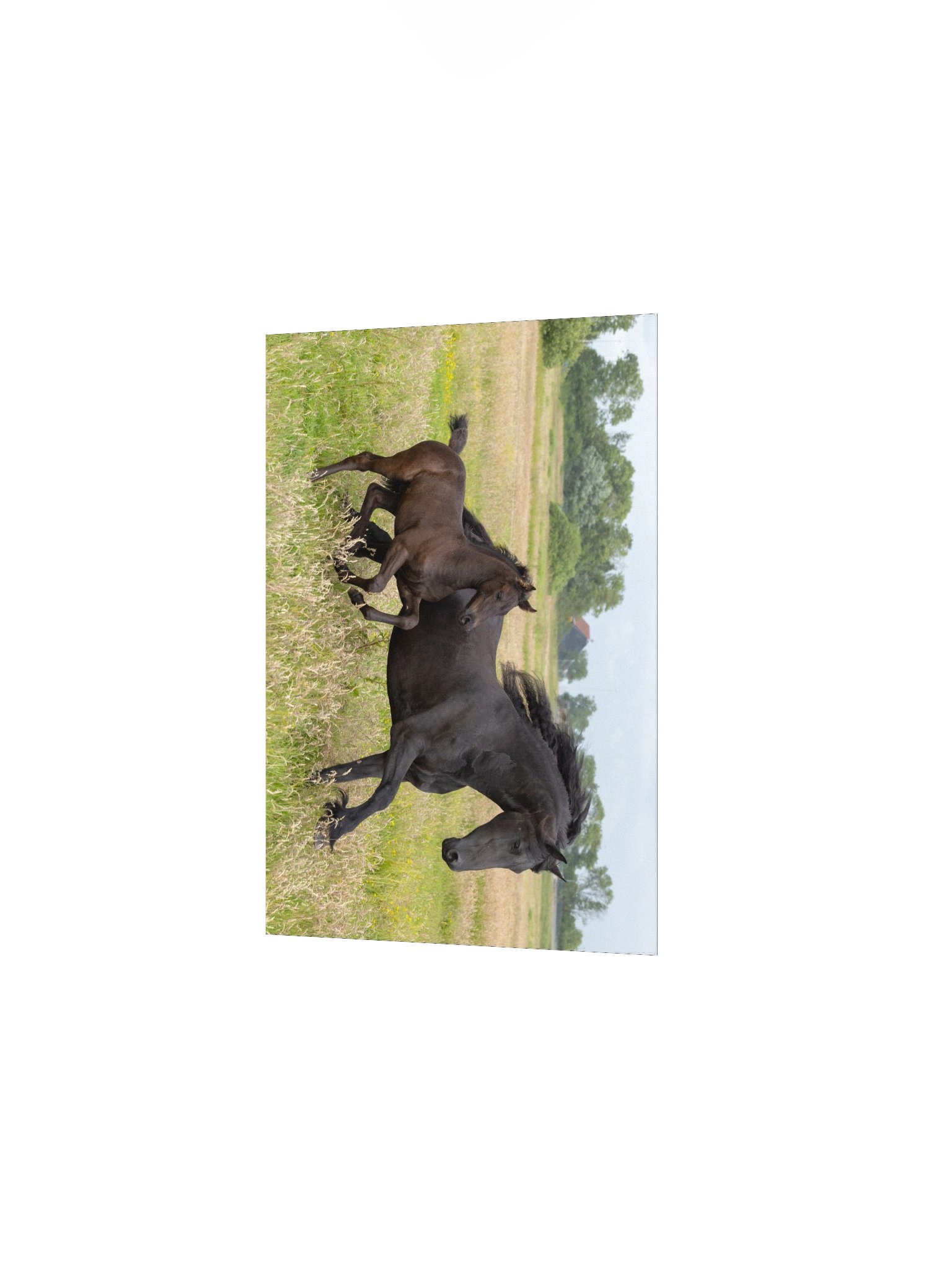 Saly & Elvis running product image (3)