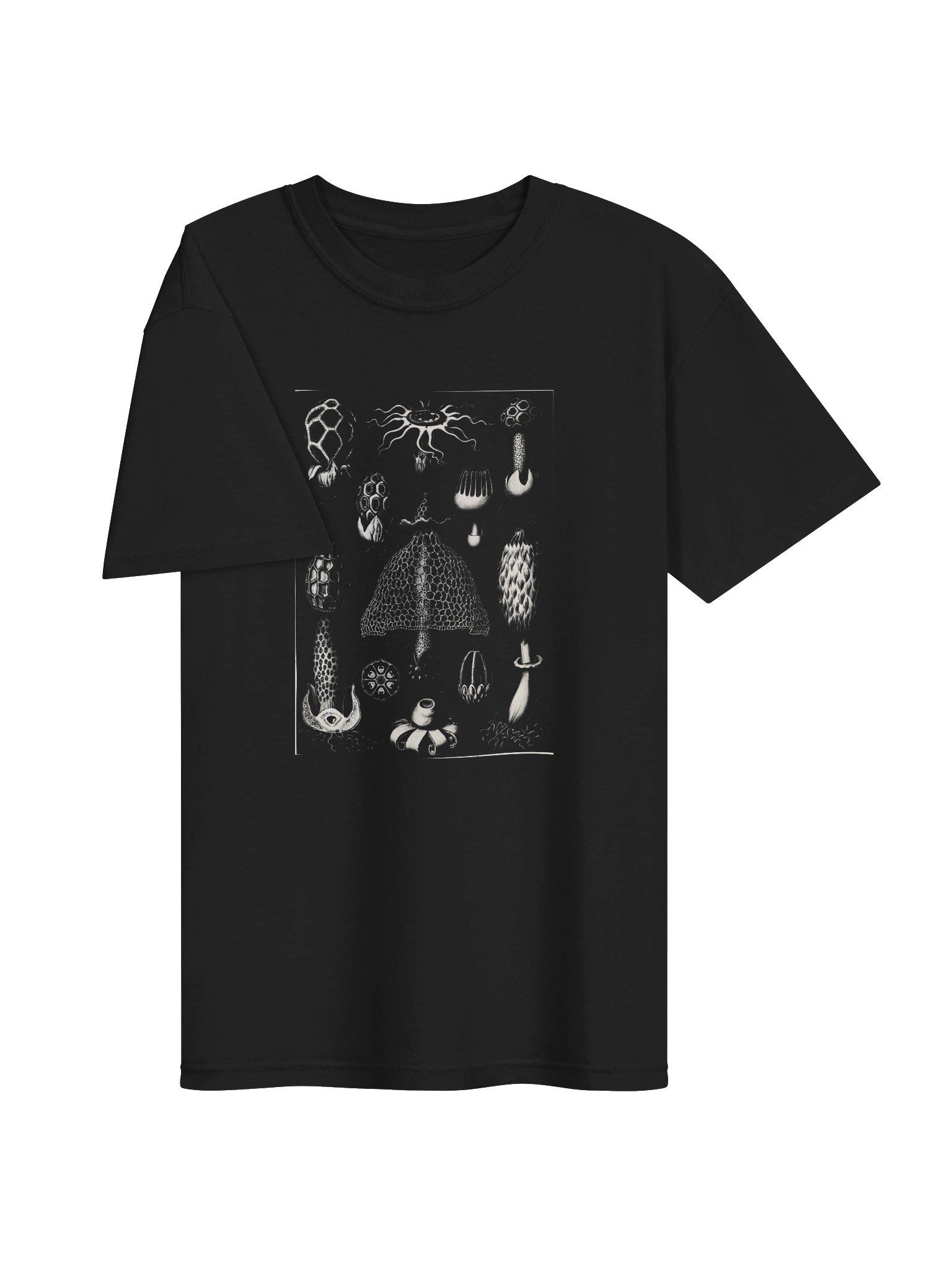 Stinkhorn Fungi Vintage Scientific Illustration T-Shirt product image (3)