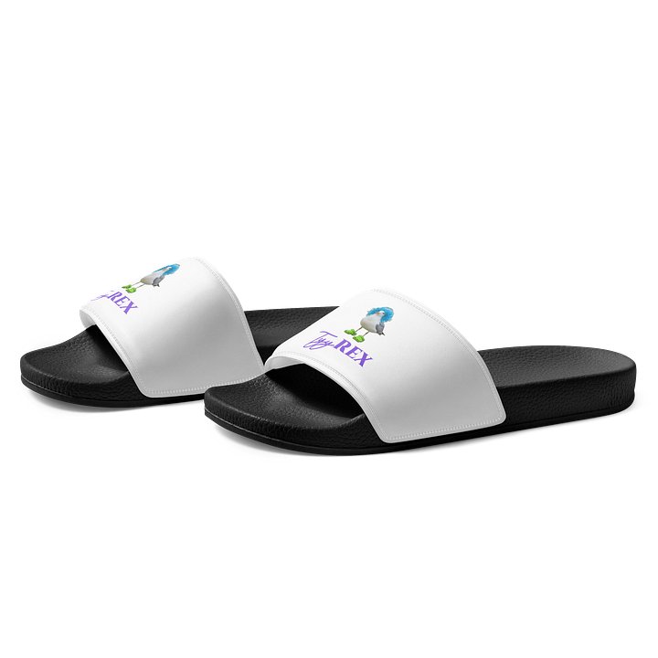 Hot Gull Summer Men's Slides product image (2)