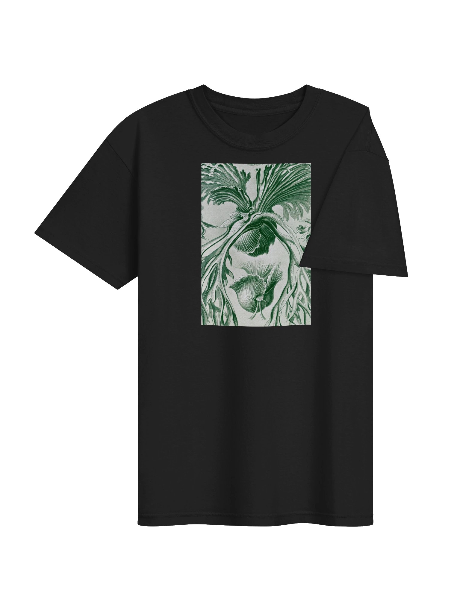 Staghorn Ferns Vintage Botanical Heavyweight T-Shirt product image (4)