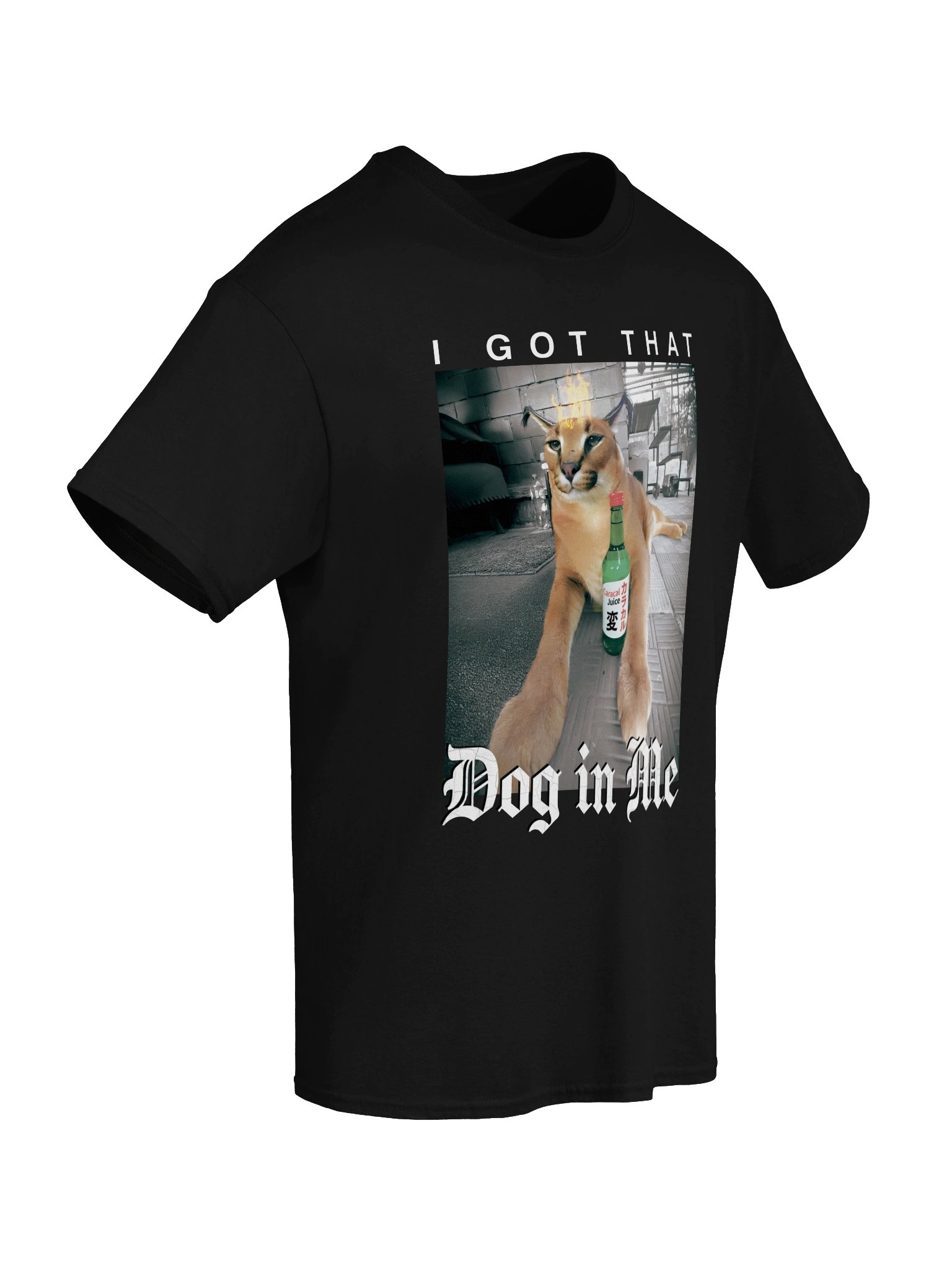 "I GOT THAT DOG IN ME" Classic T-Shirt product image (26)