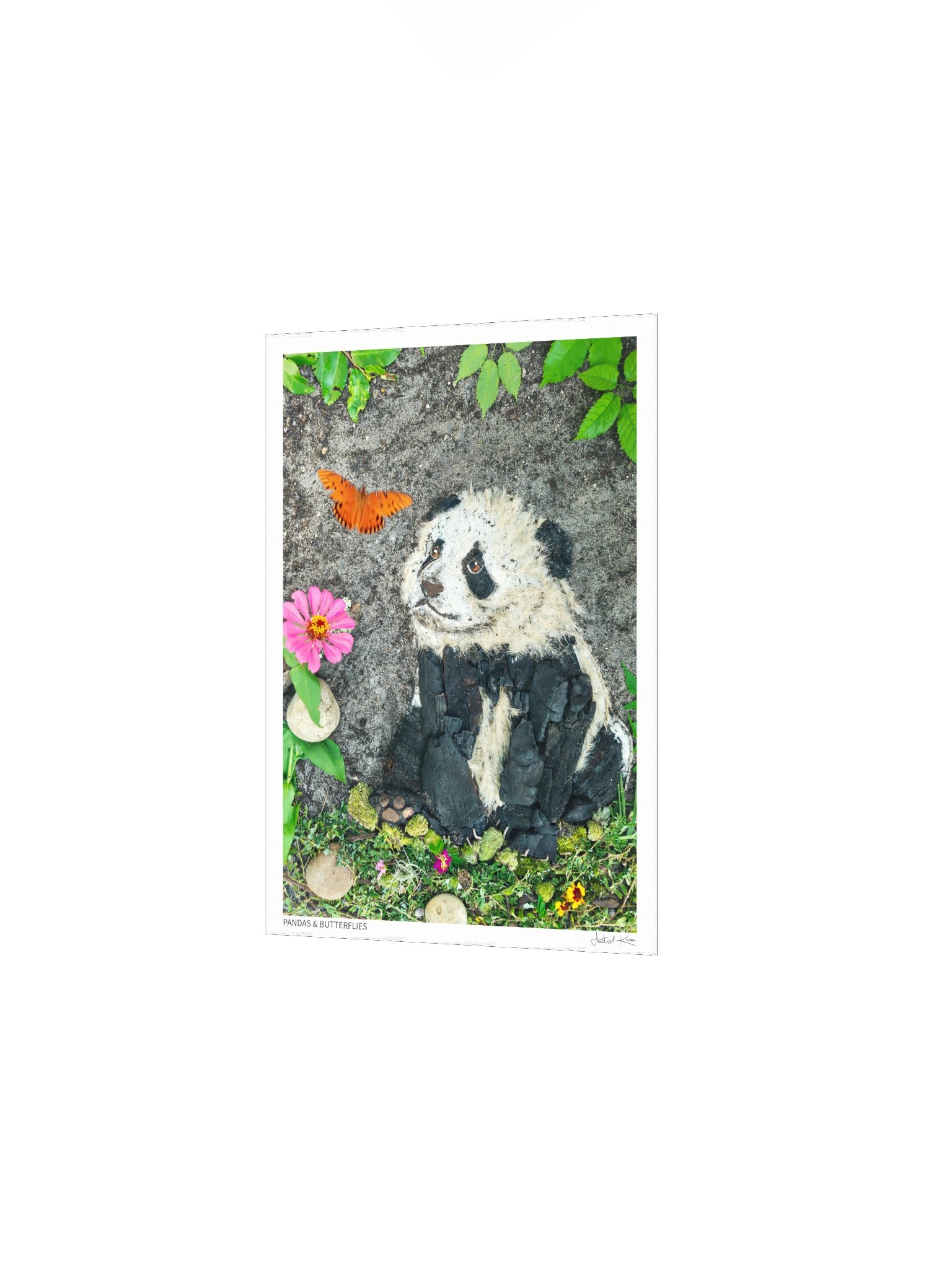 PANDAS & BUTTERFLIES | Fine Art Print product image (3)