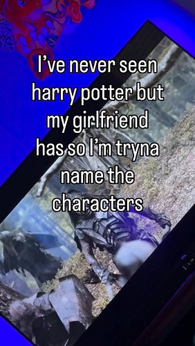 harry potter and the chamber of the lord phoenix is a movie