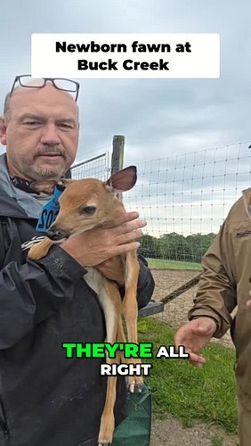New deer babies are here! 🥹  It's a farmyard magic! Tag a friend who needs a dose of cuteness. #DeerFarming #FarmLife #Newbor...