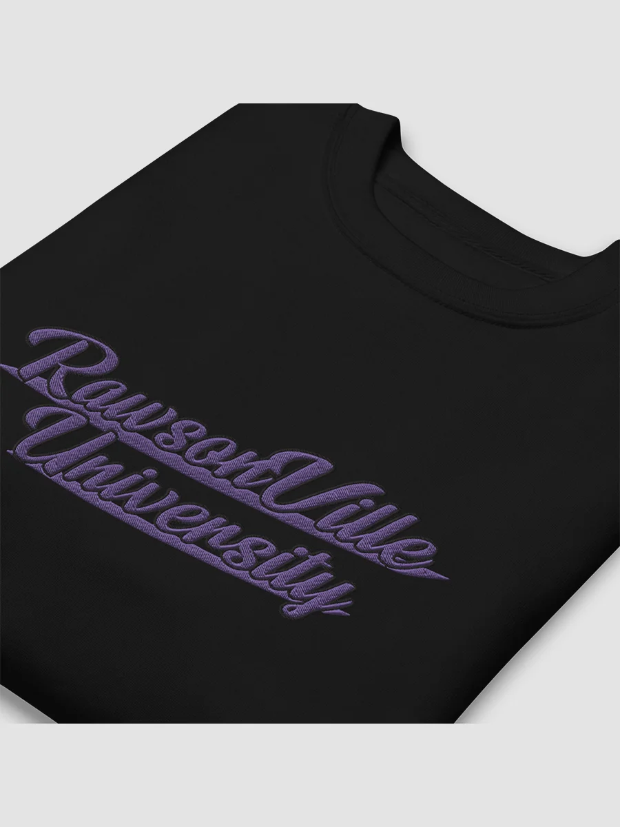 RVU: Embroidered Sweatshirt product image (5)