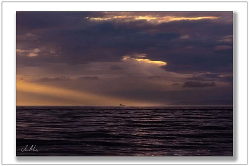 A lone ship on the horizon as crepuscular rays tear through a storm sky over the Strait of Juan de Fuca. Vast, moody, and com...