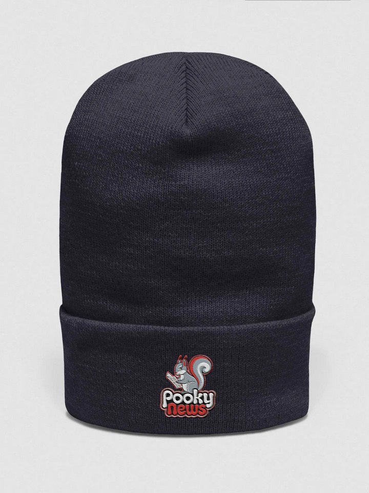 Pooky News Embroidered Beanie product image (1)