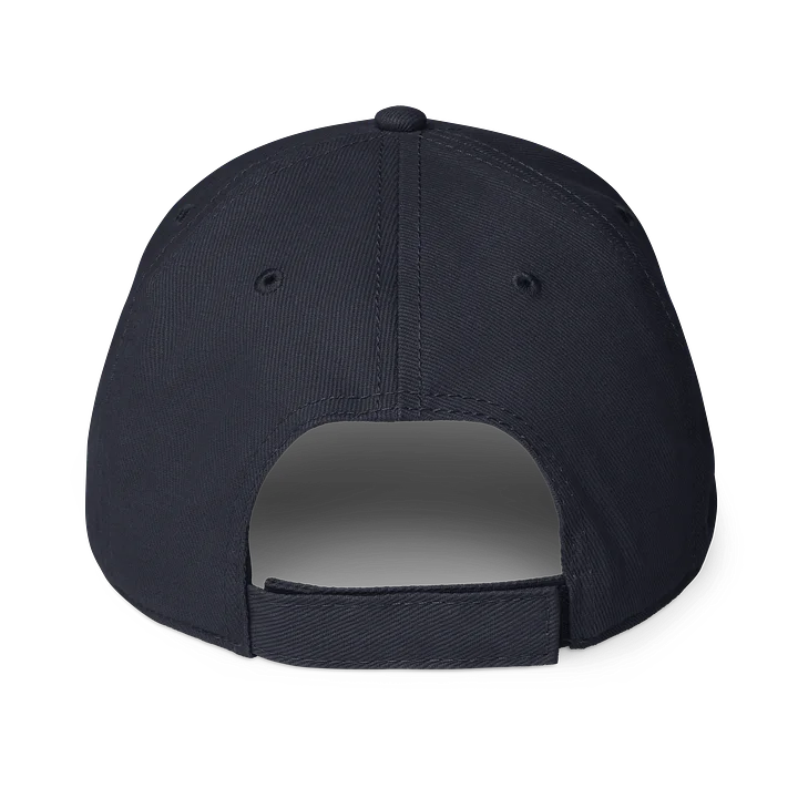 HTDS baseball cap product image (2)