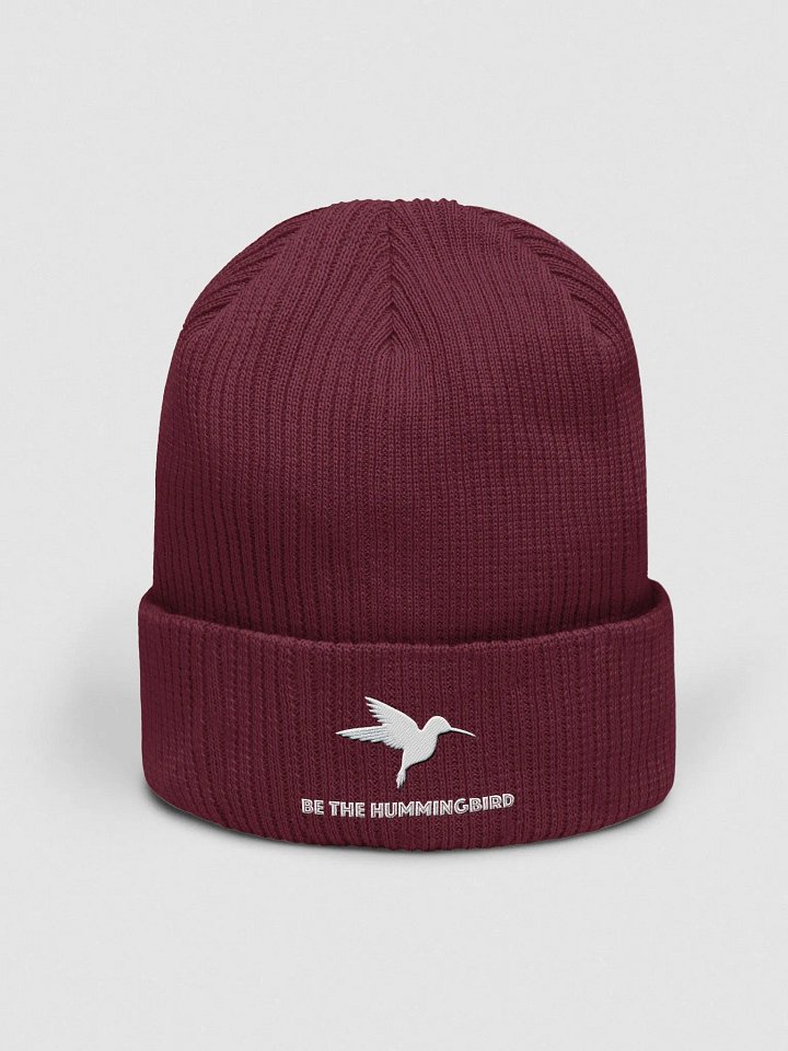 Be the Hummingbird Knit Cap product image (1)