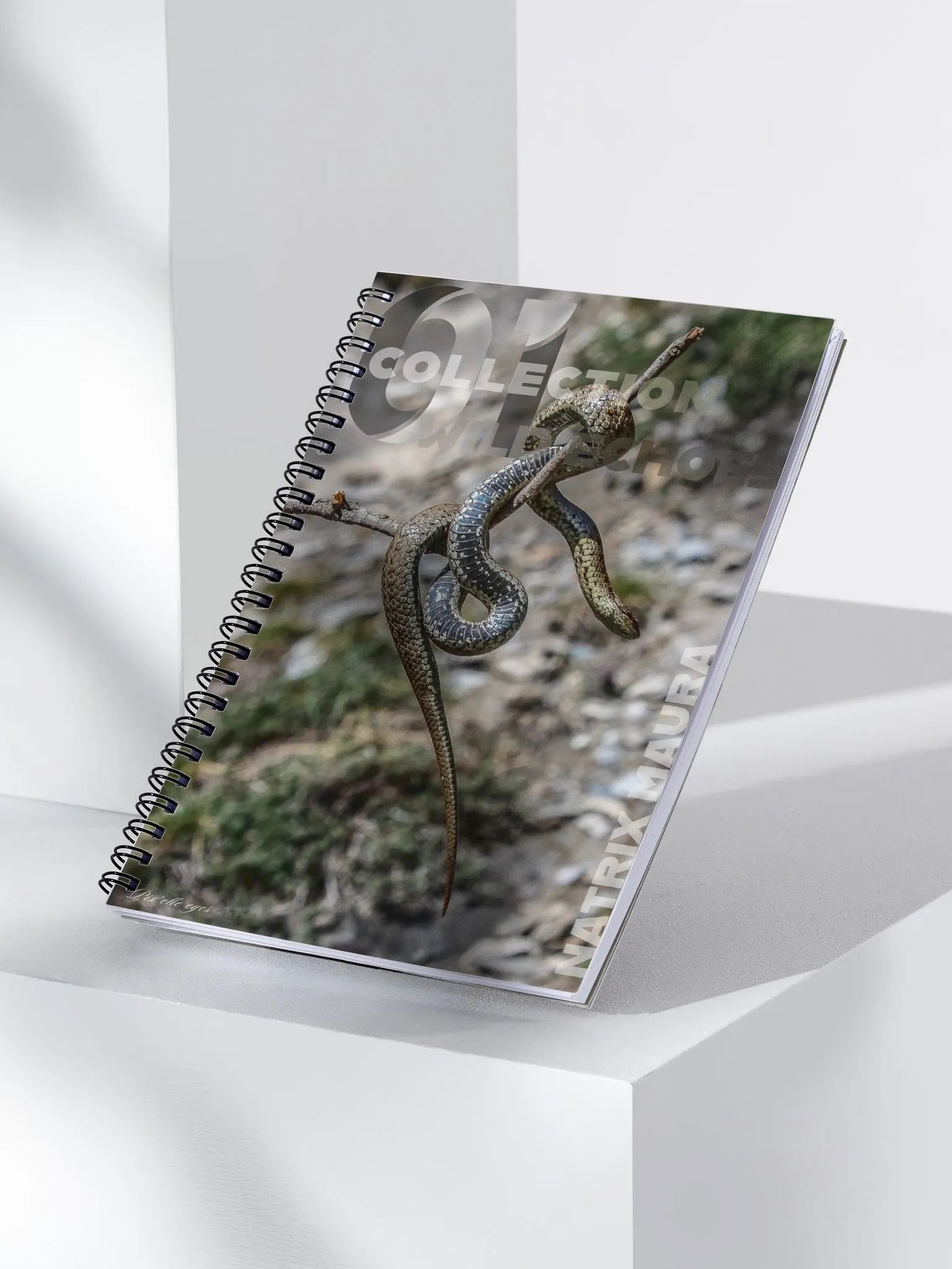 Wild Echoes Notebook – Natrix Maura – A5 Format product image (3)