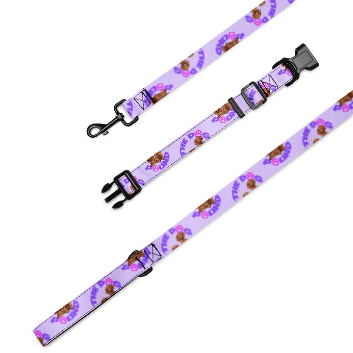 Dog Pound Collar and Leash Set product image (1)