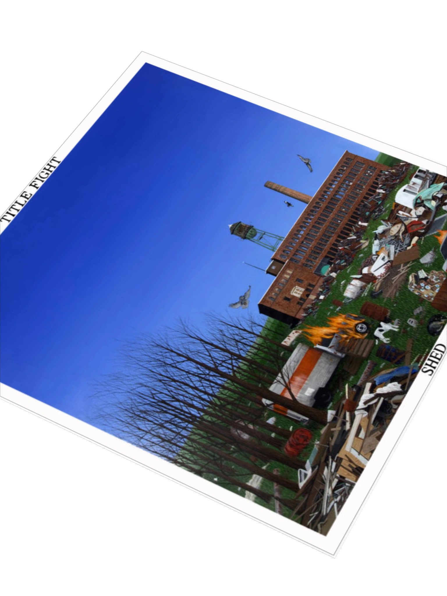 Title Fight - Shed Sticker product image (9)
