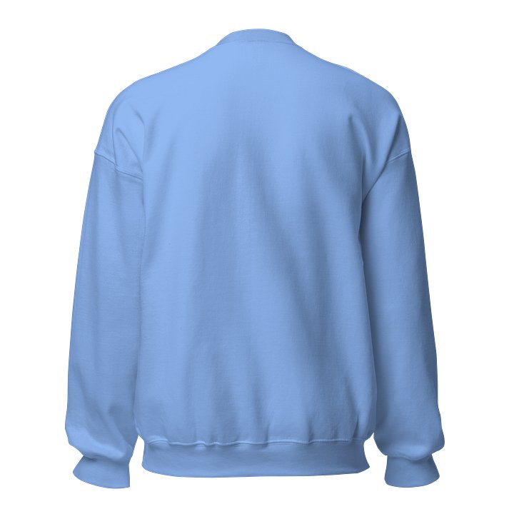 Signature Colour Block Unisex Sweatshirt product image (2)