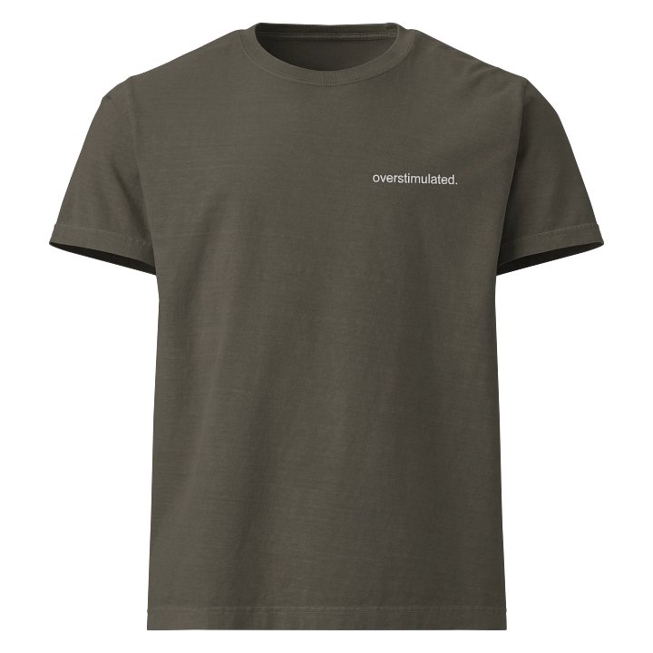 overstimulated embroidered tee product image (9)