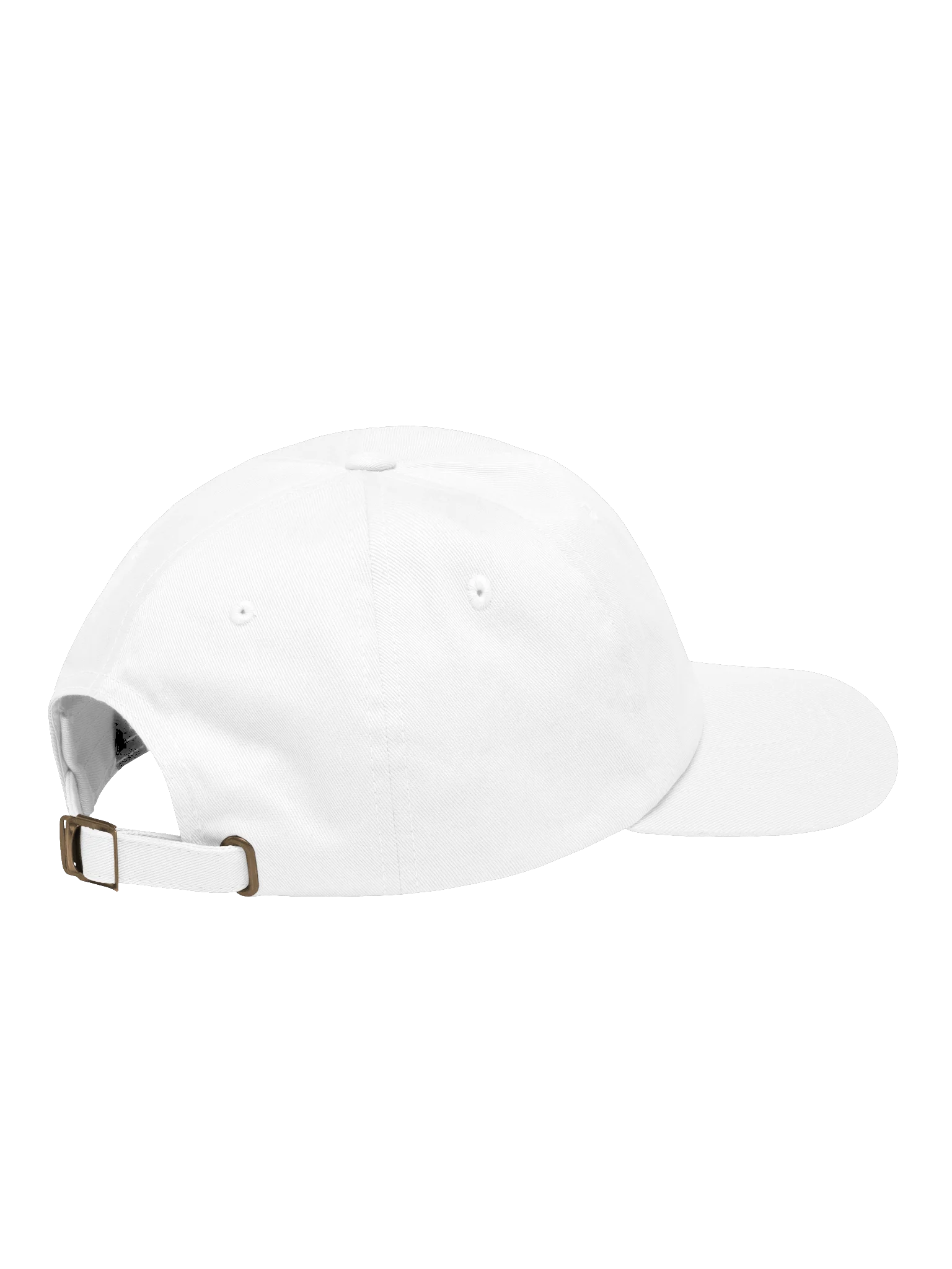 Electro-Cap product image (4)