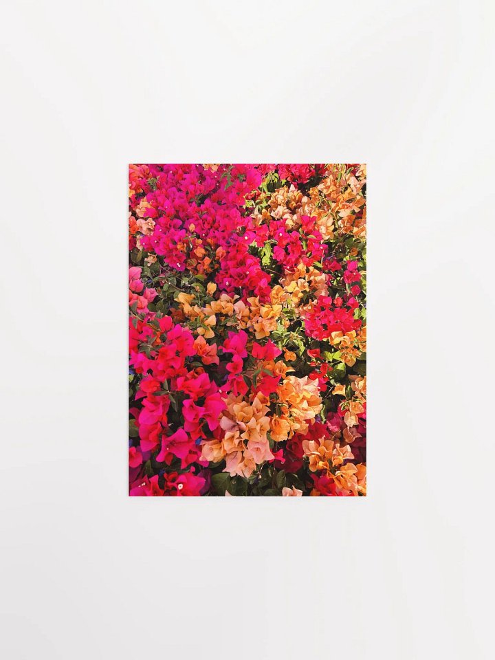 Blossom Burst Poster product image (4)