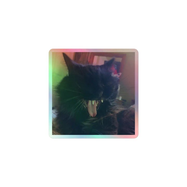 Yawning Kyle Holographic Sticker Sheet product image (1)