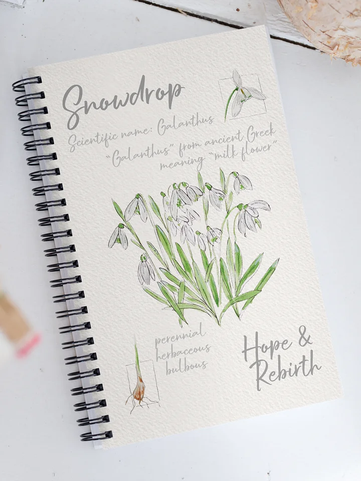 Snowdrop Flower Field Notes Style Notebook product image (1)