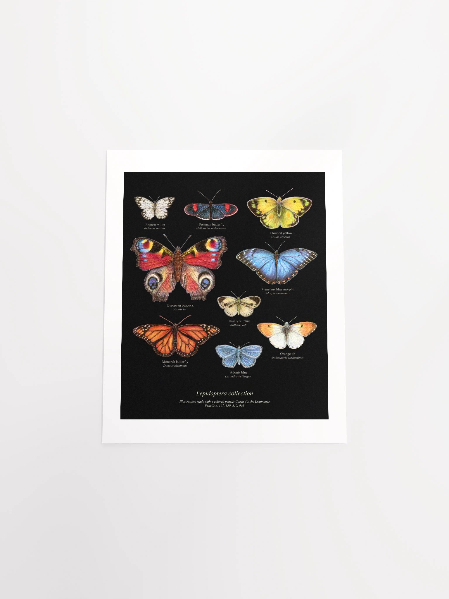 Butterflies illustration Art Poster product image (10)