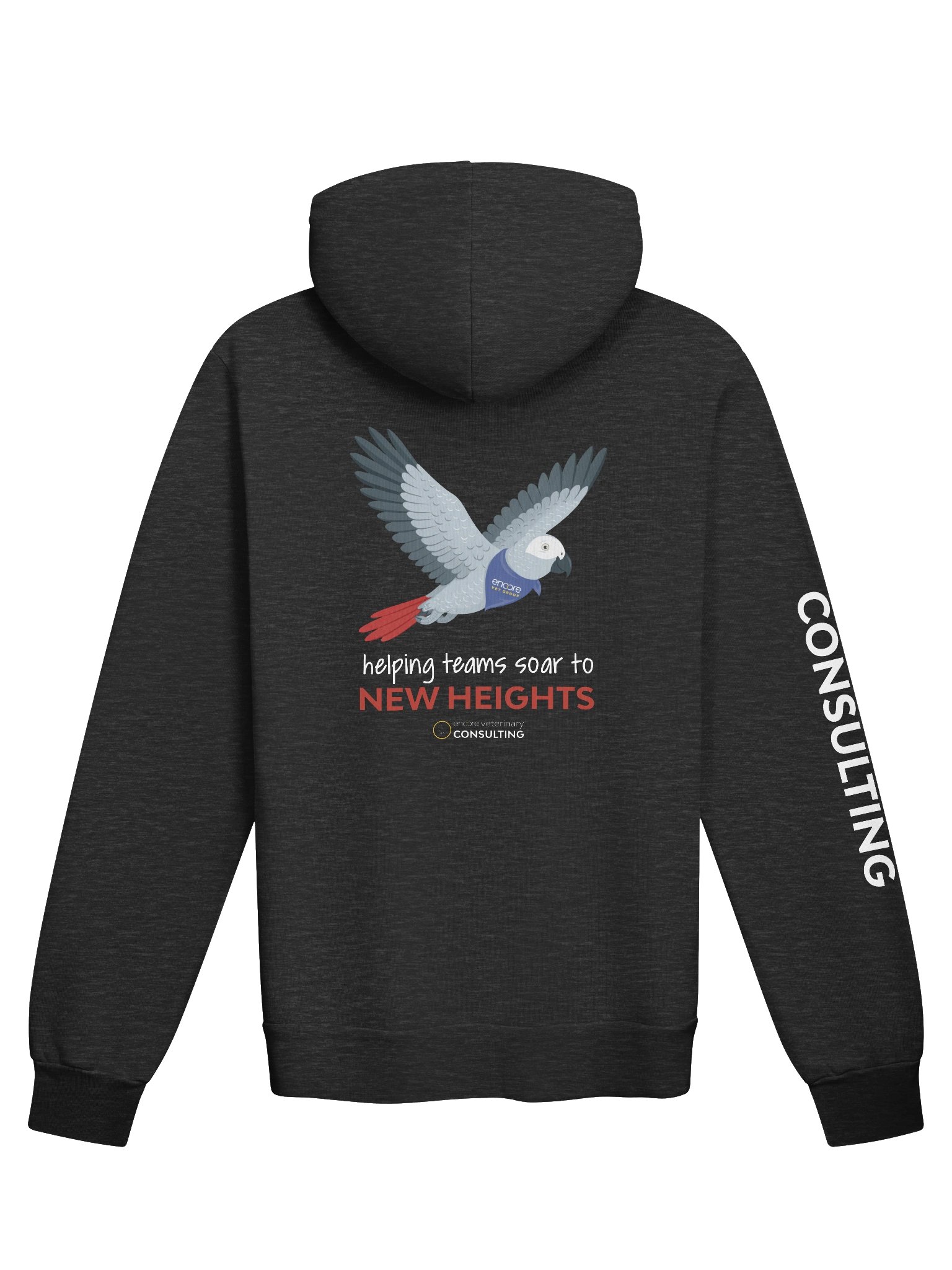 Vet Med Consulting Bella+Canvas Hoodie product image (4)