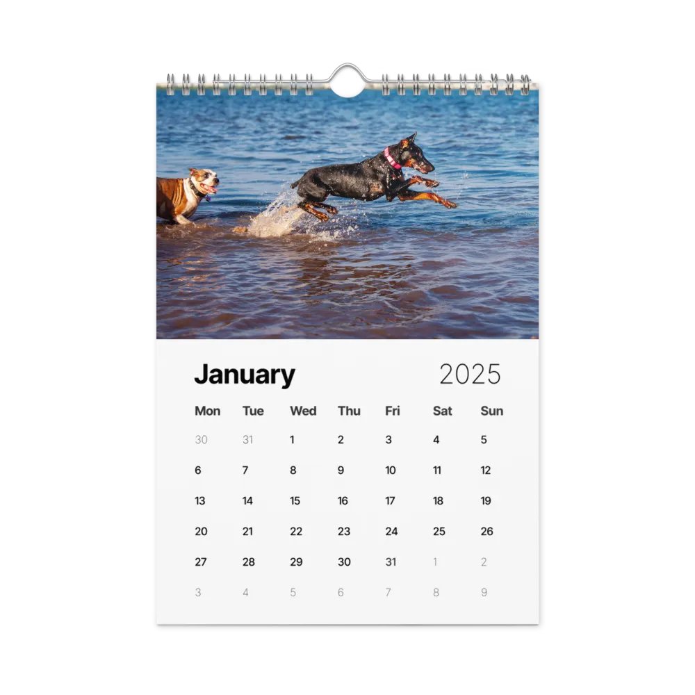 The first year - 2025 Calendar product image (2)