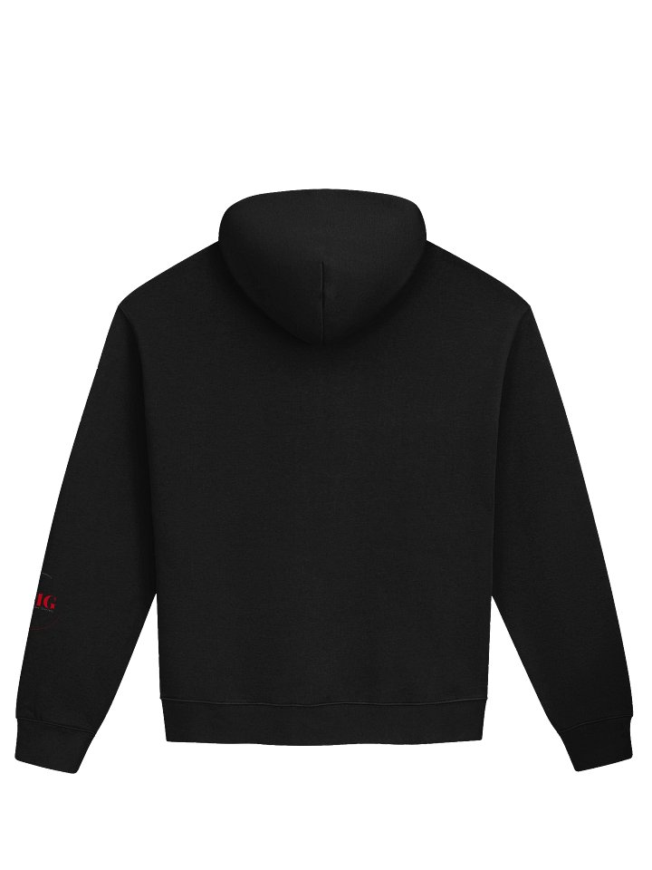 Staten Island Forgotten Borough Hoodie product image (13)
