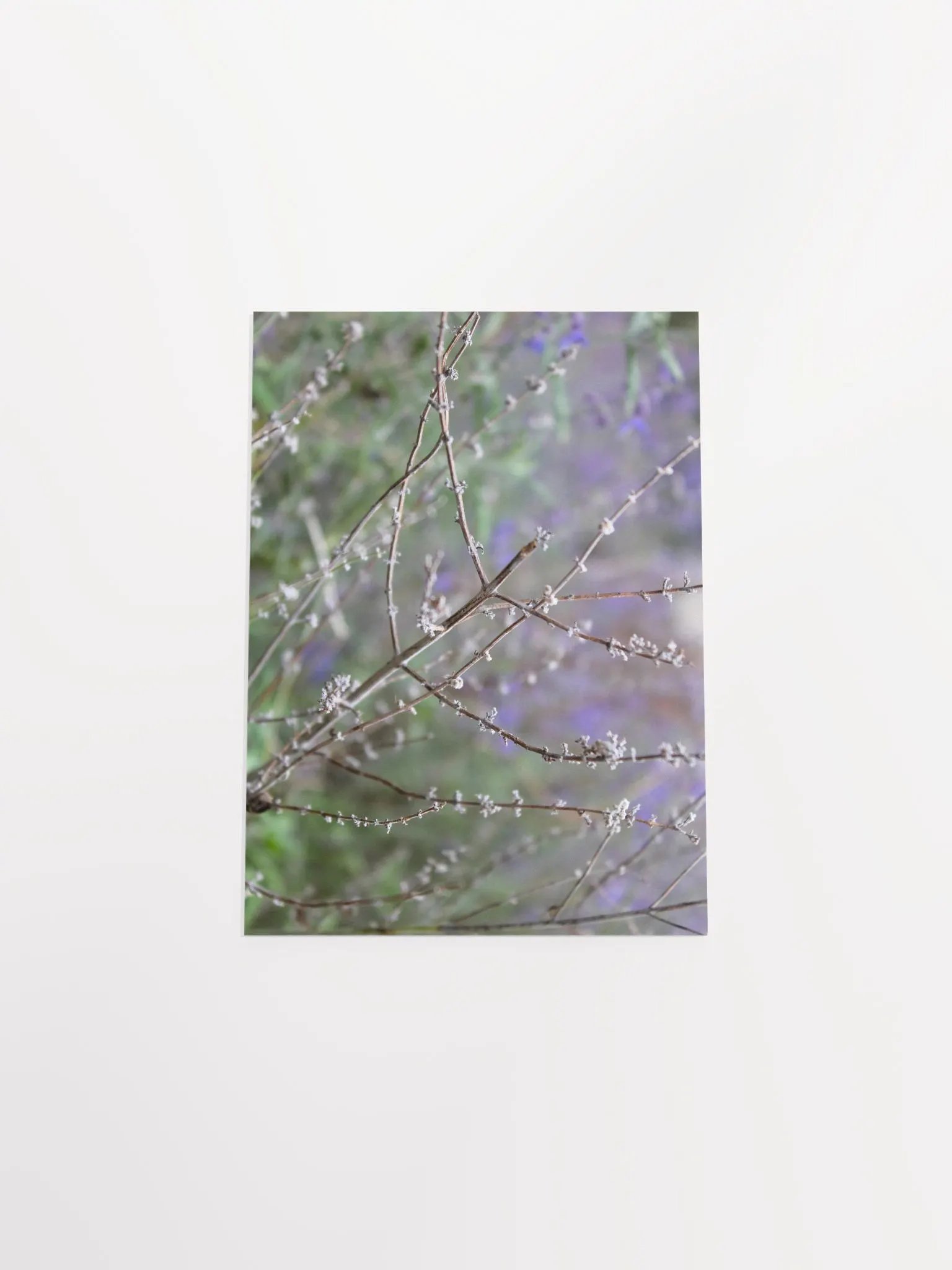 A Study in Flowers 15 product image (43)