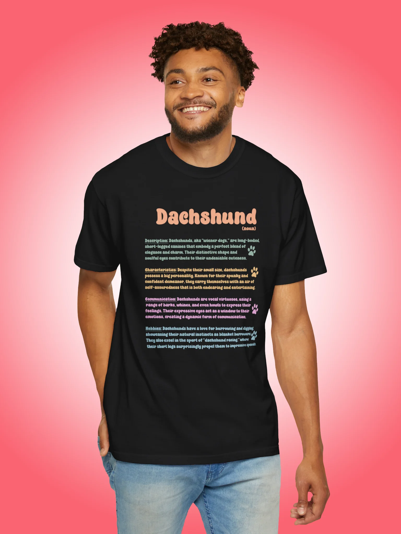 Definition of a Dachshund product image (1)