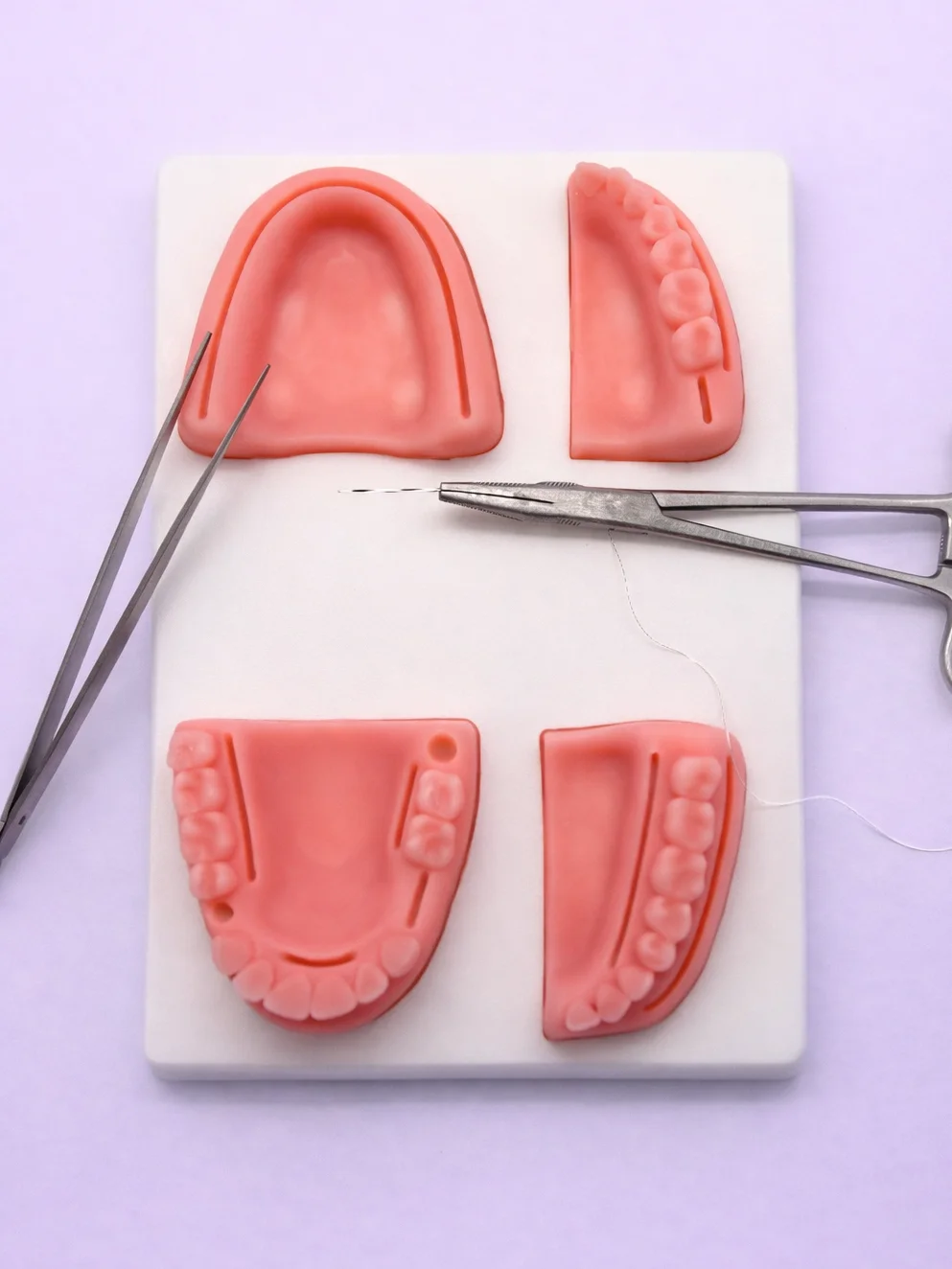 Dental Extraction and Suturing Kits product image (3)