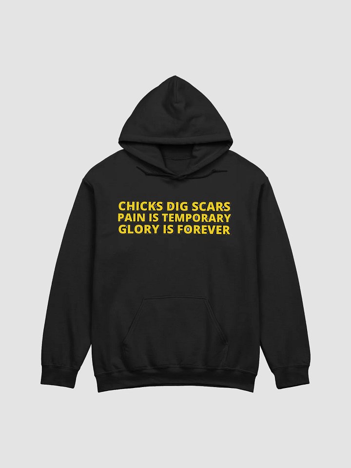 CHICKS DIG SCARS, PAIN IS TEMPORARY, GLORY IS FOREVER product image (12)