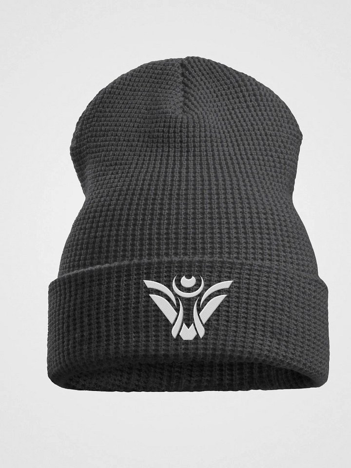 Visionary Beanie product image (1)