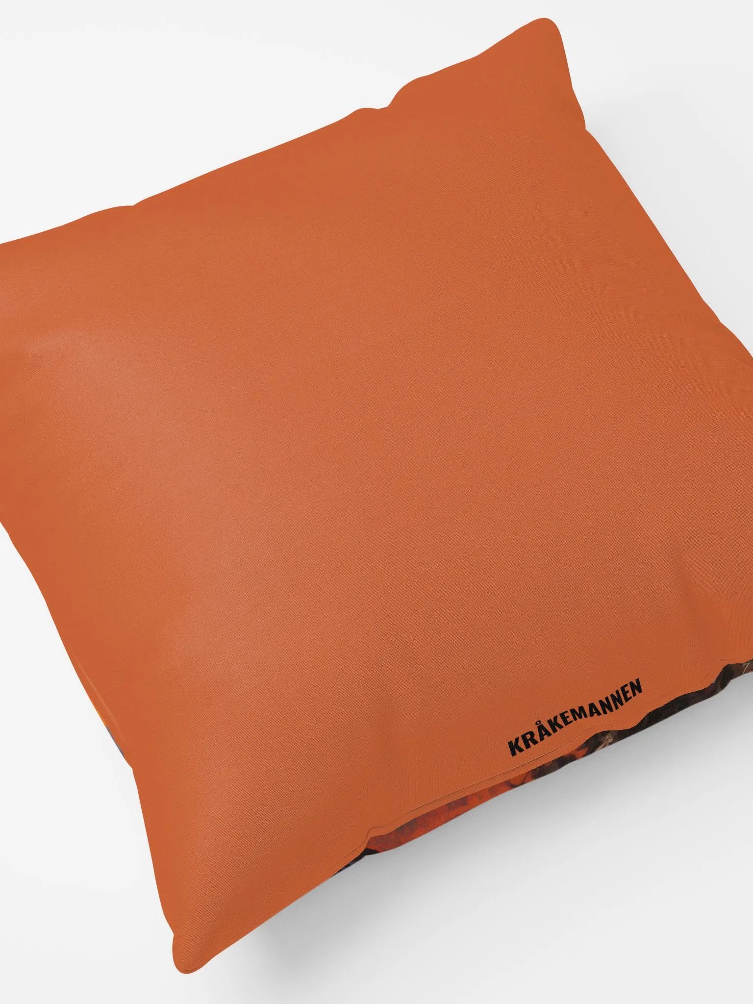 COZY PILLOW 🟠 Bird against a sunset sky product image (4)