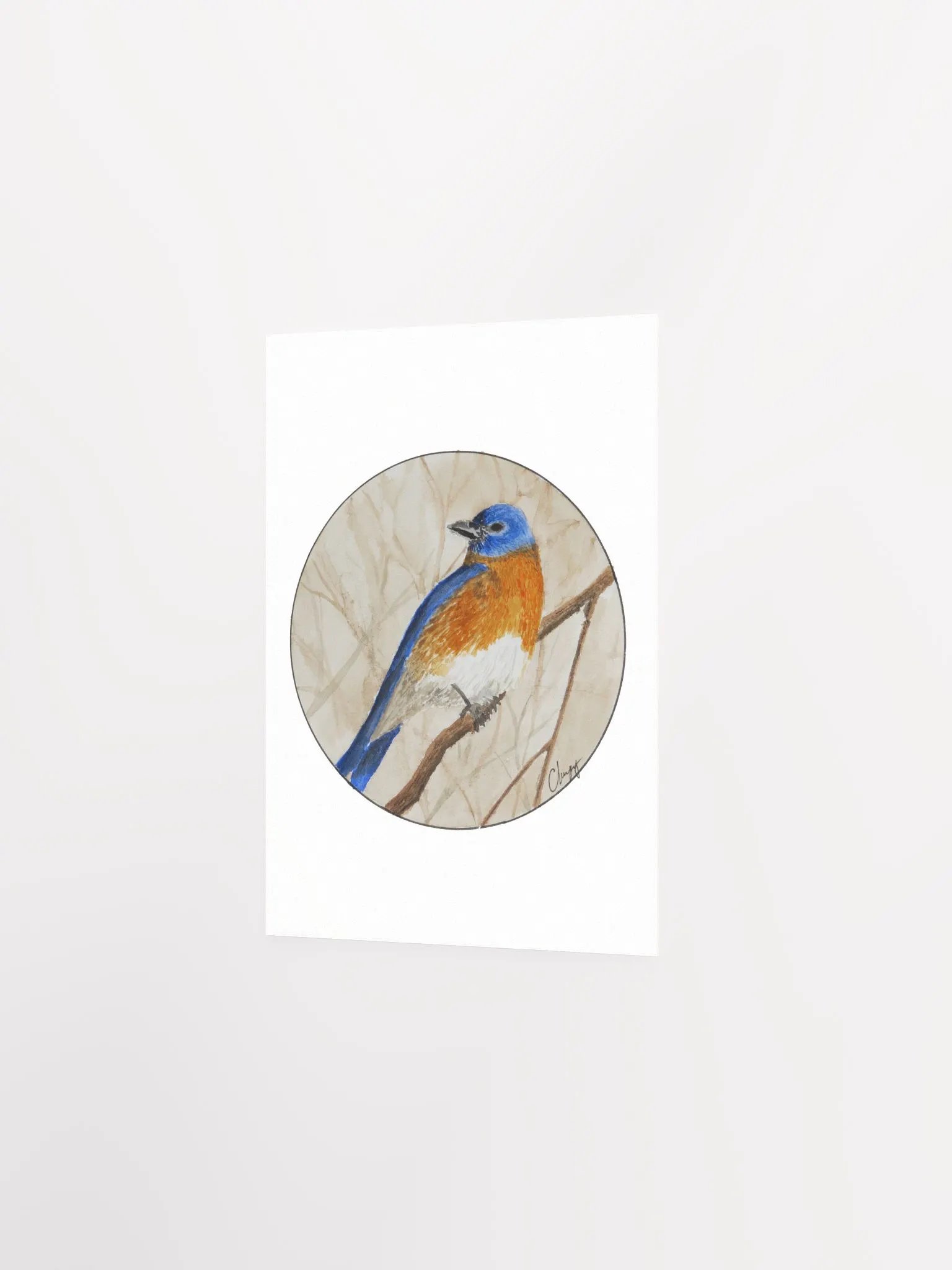 Eastern Bluebird print product image (2)
