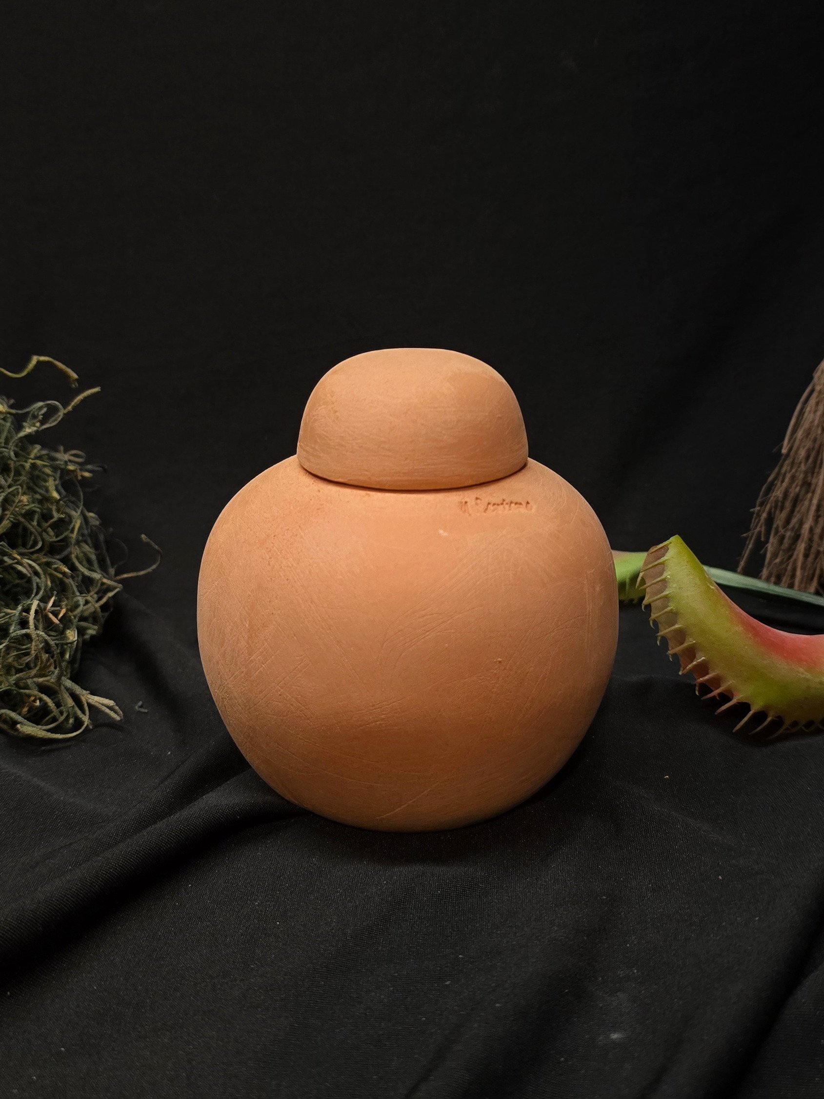 Terracotta Plant Olla Watering System Round Top product image (1)