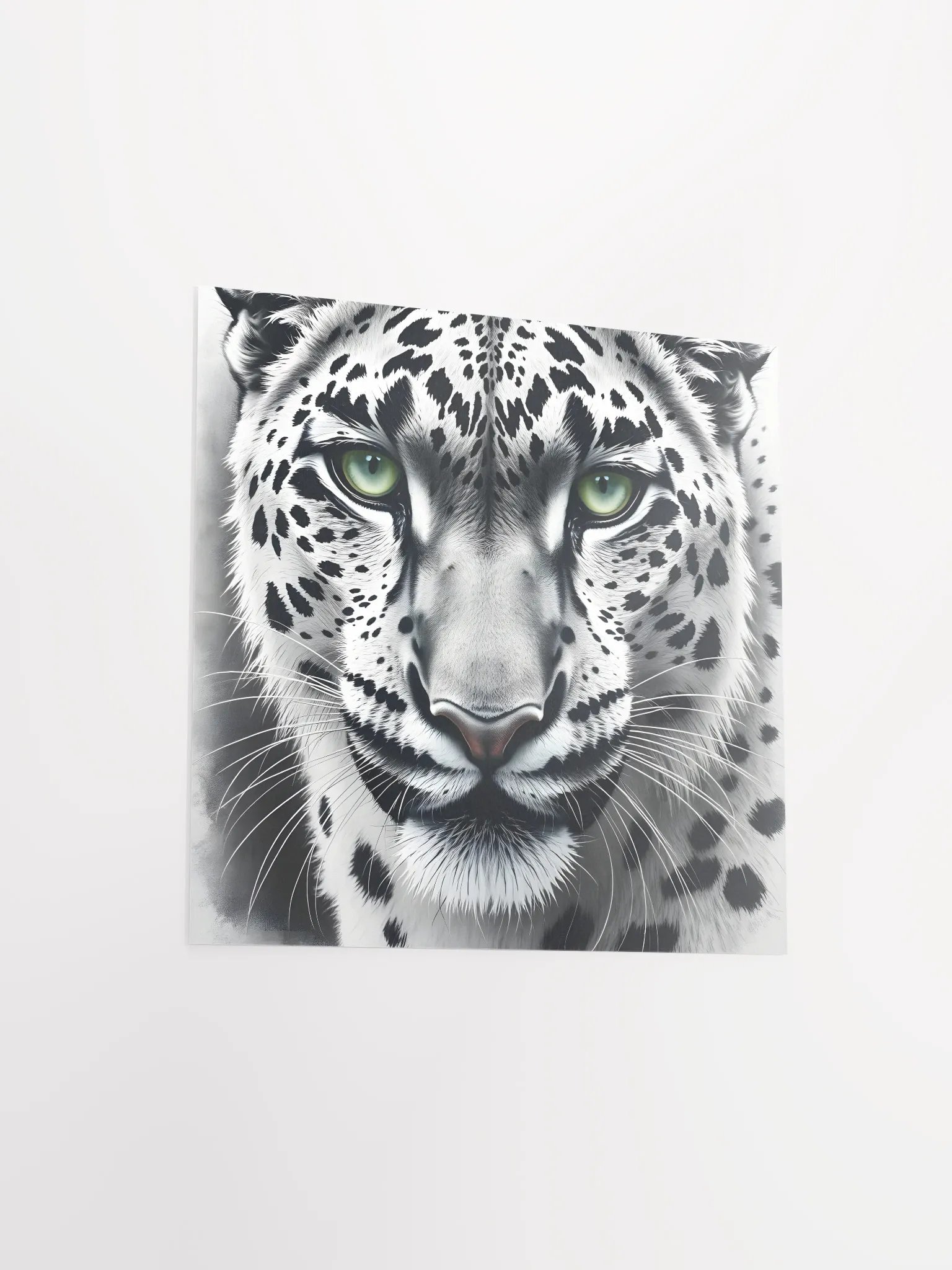 Snowleopard product image (14)