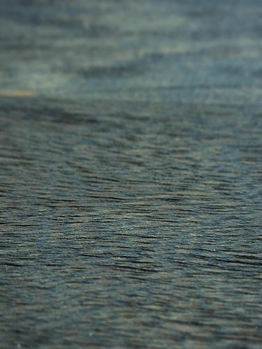 Ocean or Wood?
