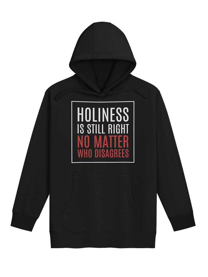 Holiness Is Still Right No Matter Who Disagrees Premium Hoodie product image (5)