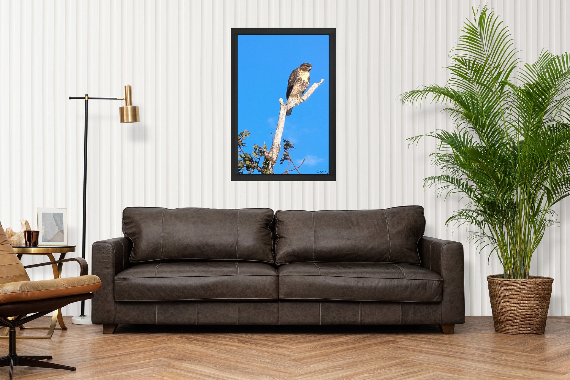 The Sentinel product image (4)
