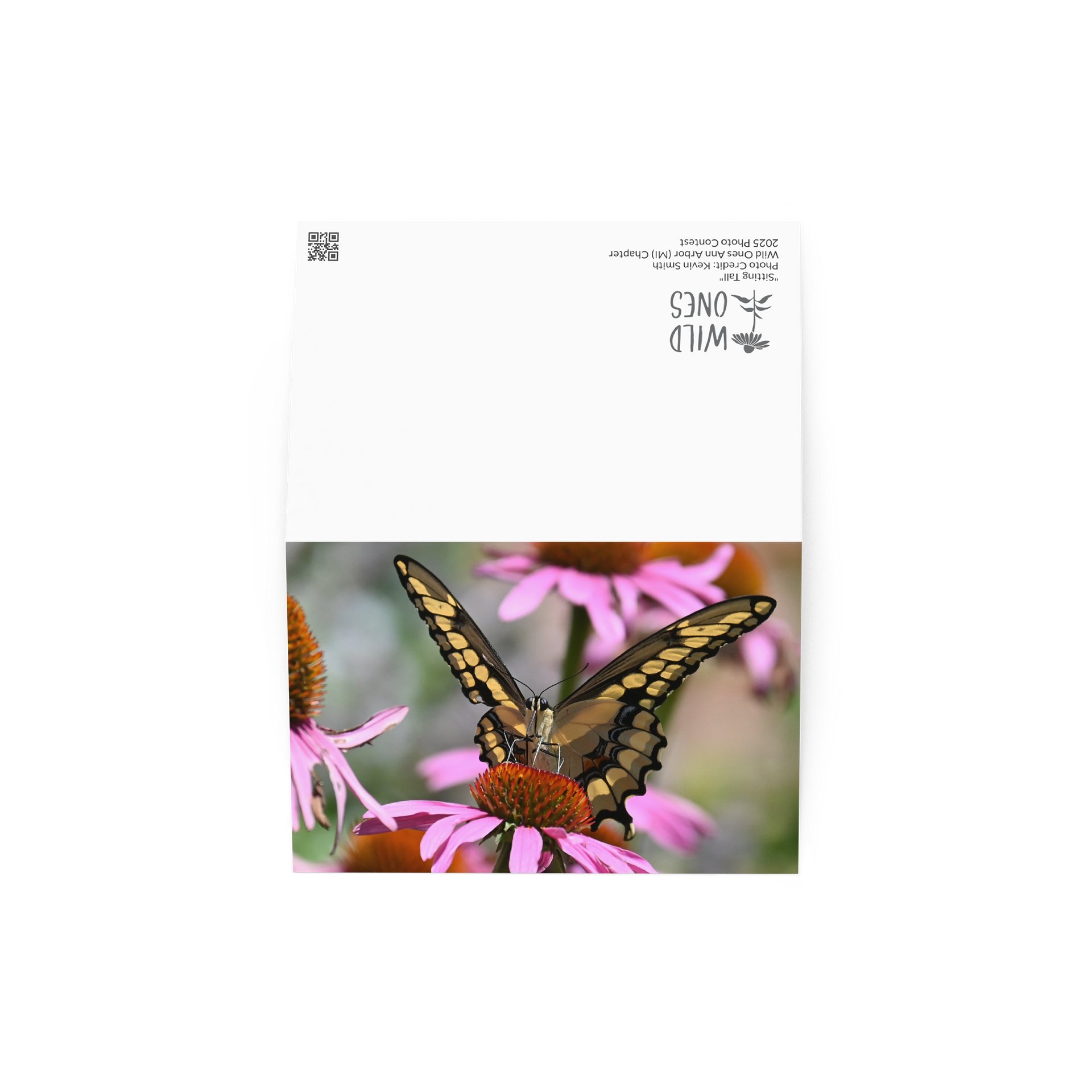 "Sitting Tall" (Blank Card) product image (3)